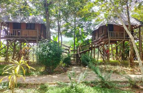 Nam Cat Tien Cabin | Nhà nghỉ độc lạ bờ sông Nam Cát Tiên