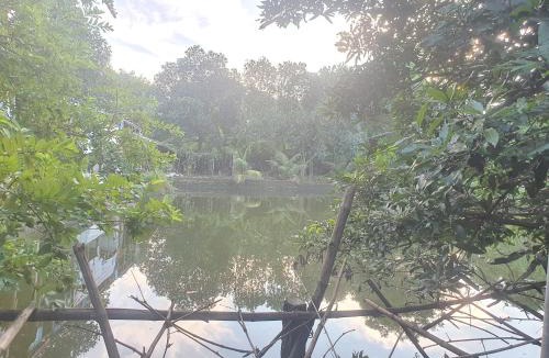 Hoa Lu House | Nha Xanh Ninh Binh Homestay