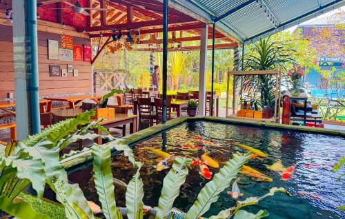 Hoa Lu House | Ninh Binh The View Point Home & Spa