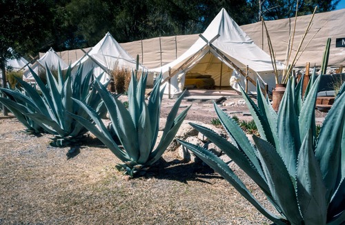 San Miguel de Allende RV Rental | Nomada Glamping - San Miguel de Allende X NANTLI LIVING