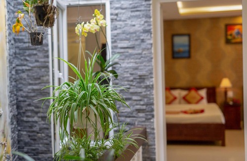 Cam Pho House | NuNi Hoi An Homestay