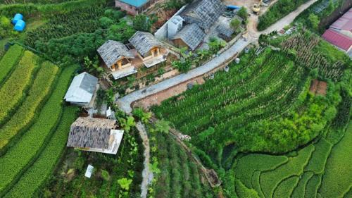 Hau Thao House | O Châu Homestay Lào Cai