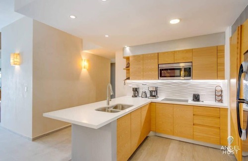 Downtown Condo | Ocean View Penthouse Private Pool Near Mamitas