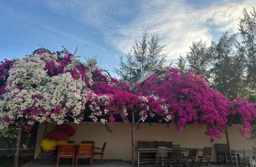 Phan Thiet Resort | Orchid Boutique Beach Resort