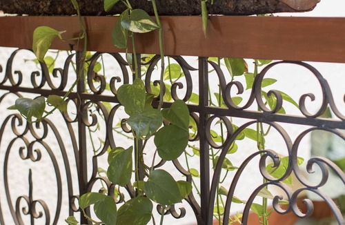 Del Carmen Villa | Outstanding Villa on the Heart Of Coyoacán.