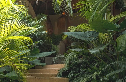 Buenavista Villa | Padma Ha Retreats