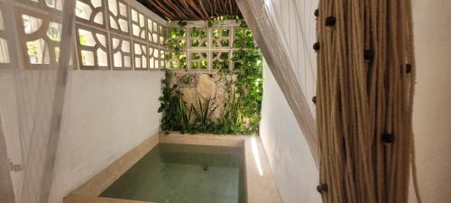 Centro Apartment | Pakáal Muliix - Limóm