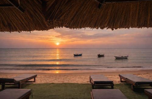Central Mui Ne Beach Hotel | Palado Hotel Mui Ne
