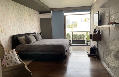 La Condesa Condo | Penthouse in La Condesa on Two Floors with Private Decks