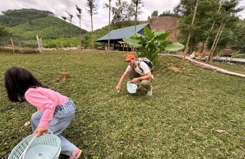 Son Trach Hotel | Phong Nha Mini Farm - Nguyen Shack