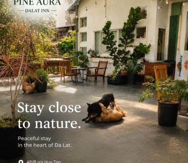 Da Lat Cabin | Pine Aura Dalat Inn