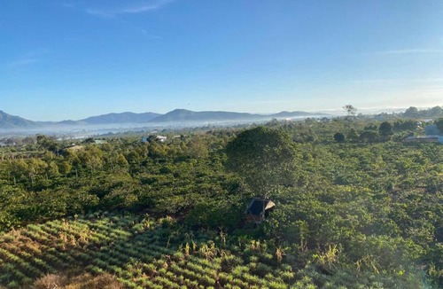 Pleiku House | Pleiku Adventures Homestay