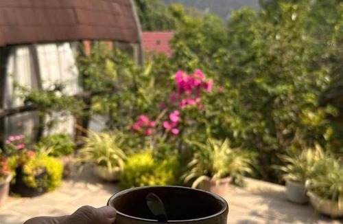 Dong Van Resort | Plum Hillside Lodge