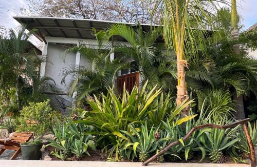 Hidalgo House | Poolside Cabaña Studio with stunning ocean view