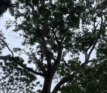 Kho Muong Cabin | Pu Luong Ecostay