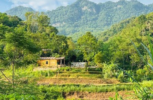 Pu Long Nature Reserve Cabin | Pu Luong Riverside Lodge
