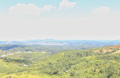 Da Lat Apartment | Rainbow Homestay Cầu Đất