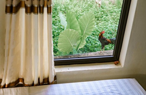 Phong Nha House | River Life Homestay