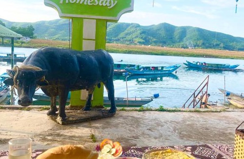 Phong Nha House | River Life Homestay