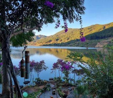 Di Linh Bed & Breakfast | Rosee de Kala - Chipmunk Alvin
