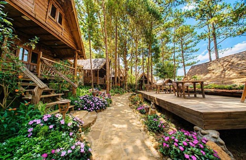 Kon Plong Hotel | Sóc House Măng Đen