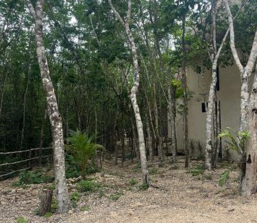 Ek Balam Village Other | Sak lool Tulum