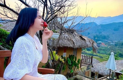 Sa Pa House | Sapa Eco Homestay