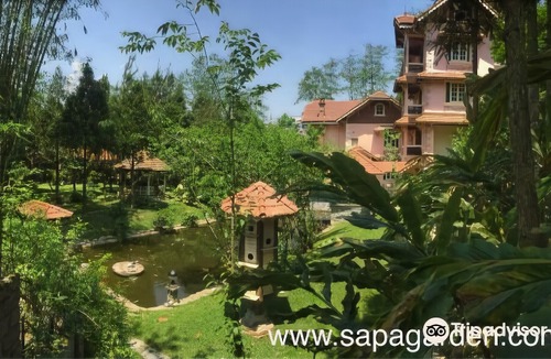 Cha Pai Hotel | Sapa Garden Bed and Breakfast