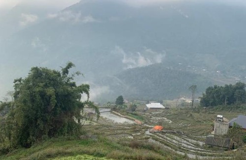 Sa Pa Bed & Breakfast | Sapa Mushroom Homestay