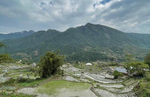 Sa Pa Bed & Breakfast | Sapa Mushroom Homestay