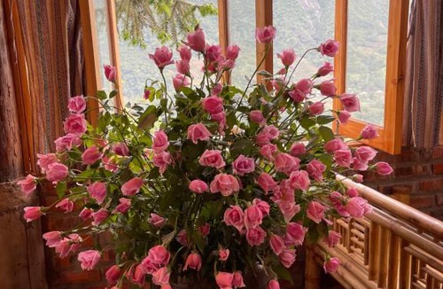 Sa Pa Bed & Breakfast | Sapa Mushroom Homestay
