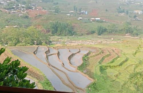Sa Pa House | Sapa rice field view