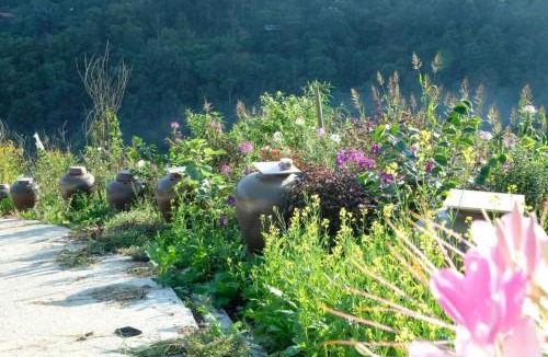 Sa Pa Ski Chalet | Sapawine Homestay
