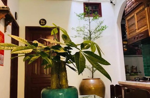 Hue City Centre House | Seven Homestay