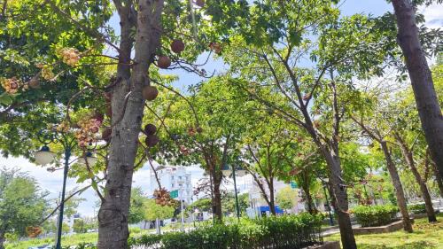 Phan Thiet Bed & Breakfast | Song Ngọc Hotel Phan Thiết