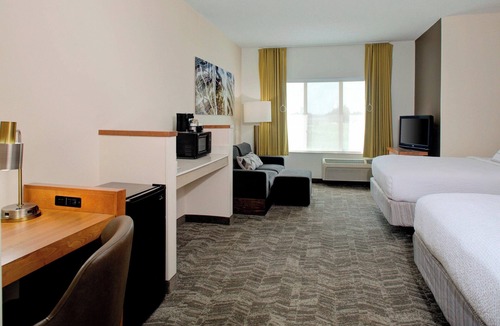 Ellendale Hotel | Springhill Suites Memphis East/Galleria