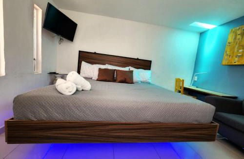 Guadalajara House | suite planta alta