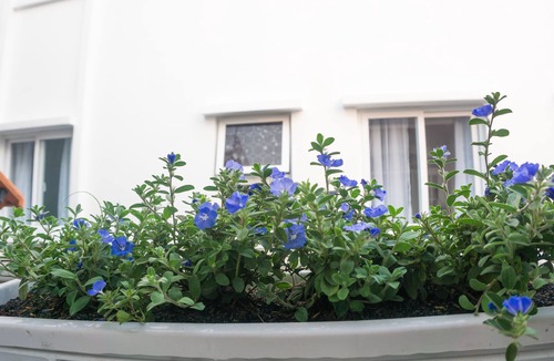 Phuong 8 House | Sunny House