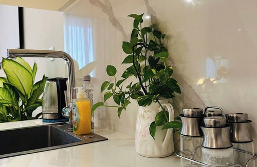 Van Giang Apartment | Swanlake Ecopark - Calm Homestay