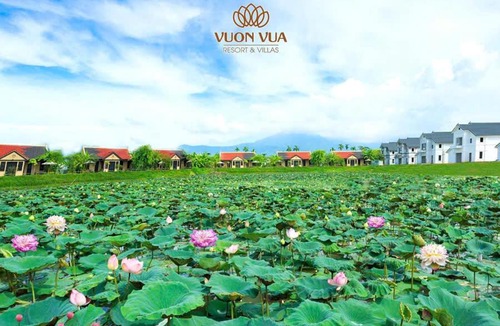 Viet Tri Apartment | Tắm khoáng Onsen mineral bath, Vuon Vua, Thanh Thuy, Phu Tho