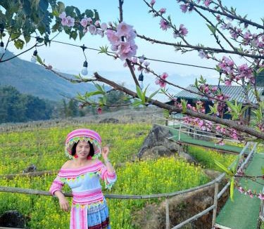 Phong Tho Apartment | Tổ Ếch Homestay