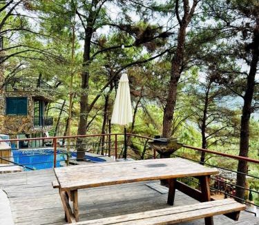 Soc Son House | Tổ Chim House