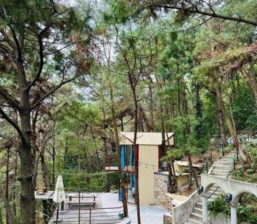 Soc Son House | Tổ Chim House
