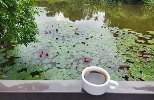 Hoa Lu House | Tam Coc Mountain Light Homestay