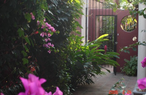 Hidalgo House | Tasteful Casita on a Quiet Street Near Beaches with Views!