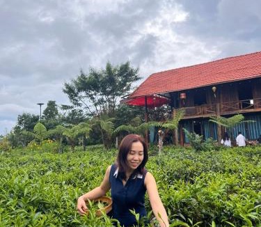 Bao Loc Cabin | Tea Garden House