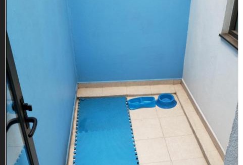 Escandon I Seccion Apartment | Terraza, Centrico WTC, Condesa, pet friendly