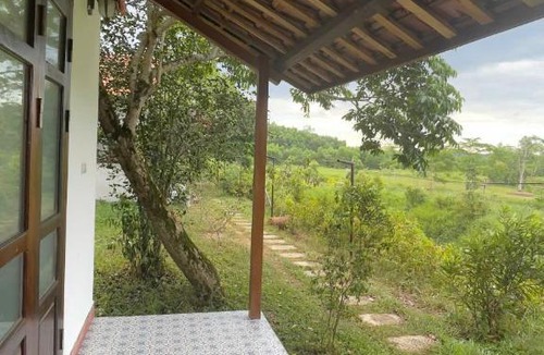 Phu Loc Other | Thôn Hoa Sen