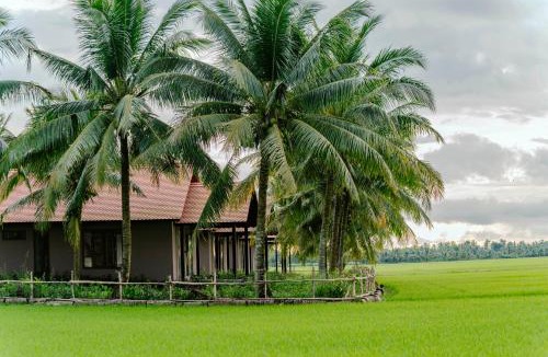 Cau Ke Hotel | Thala Tra Vinh