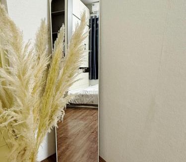 Tu Liem Apartment | The ank homestay